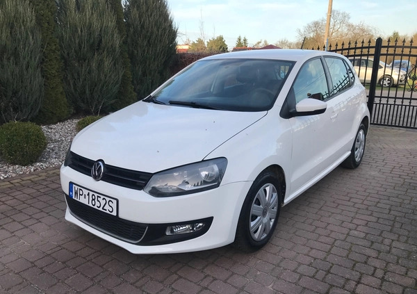 Volkswagen Polo cena 22900 przebieg: 152150, rok produkcji 2010 z Pułtusk małe 92